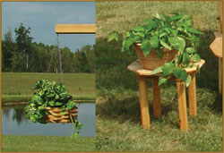 Hanging Planter Baskets