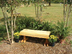 Bench (4- to 8-feet)
