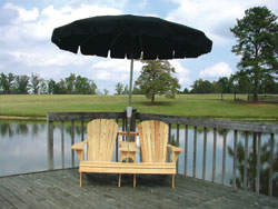 Double Adirondack Glider